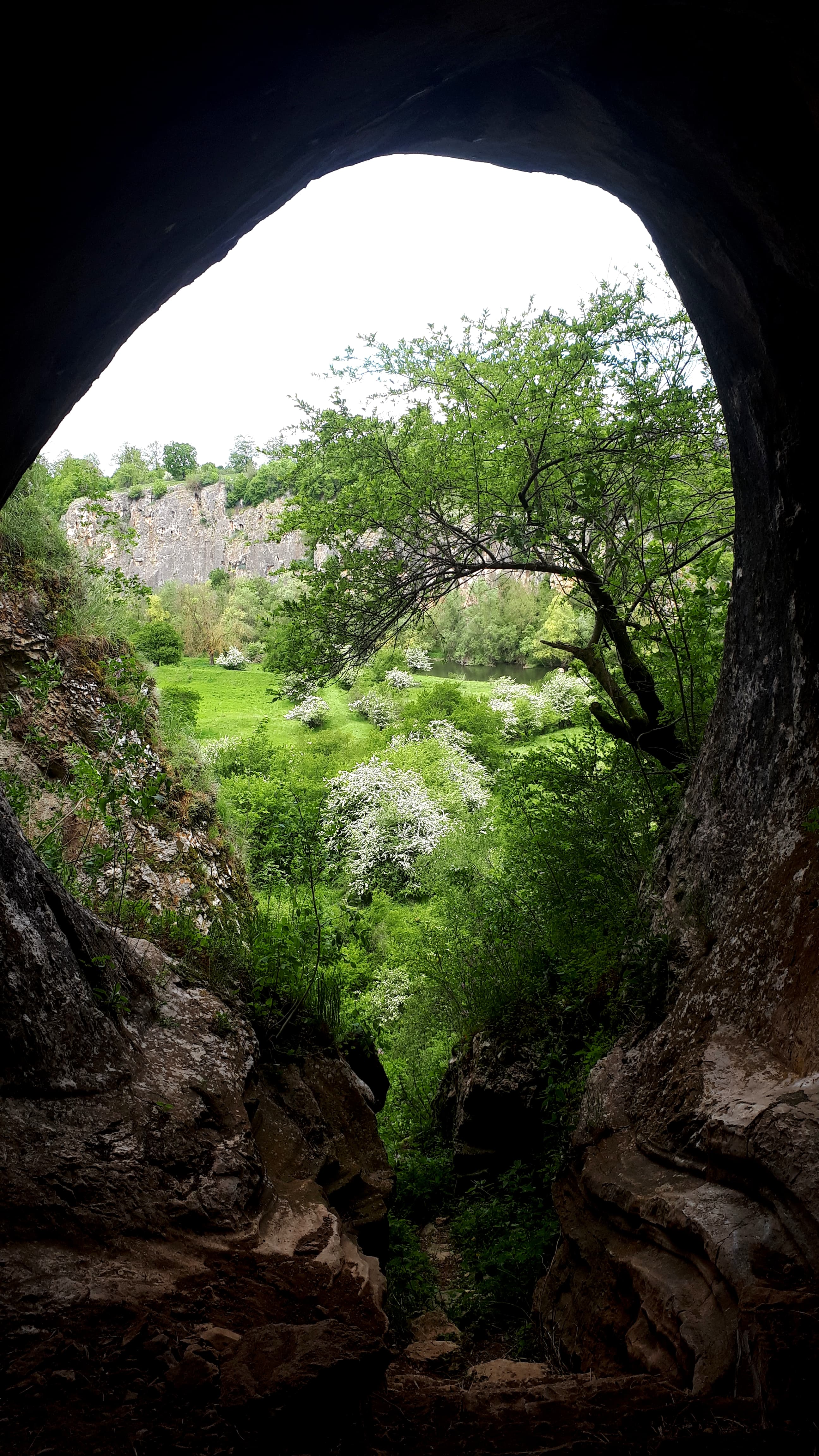 Choveshkata peshtera