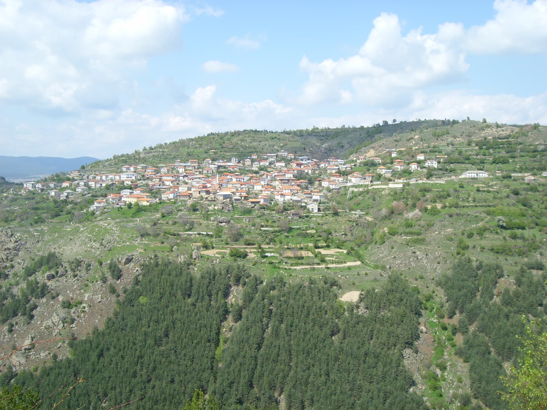 Tsrancha