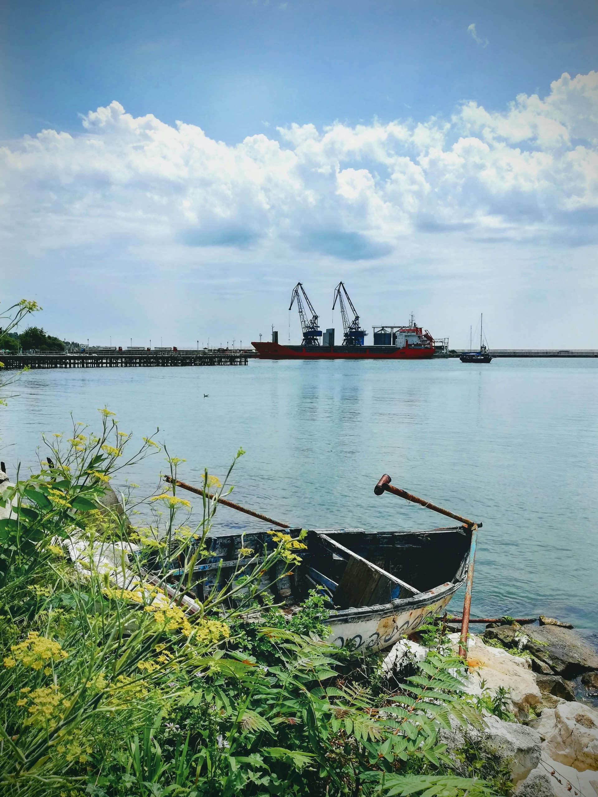 An old wooden rowing boat among wildflowers on the shore, with Balchik's port and cranes behind