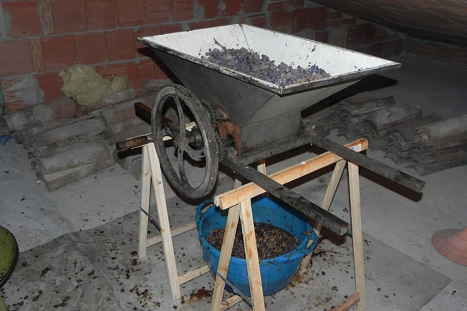Grapes being crushed by foot in a wooden tub