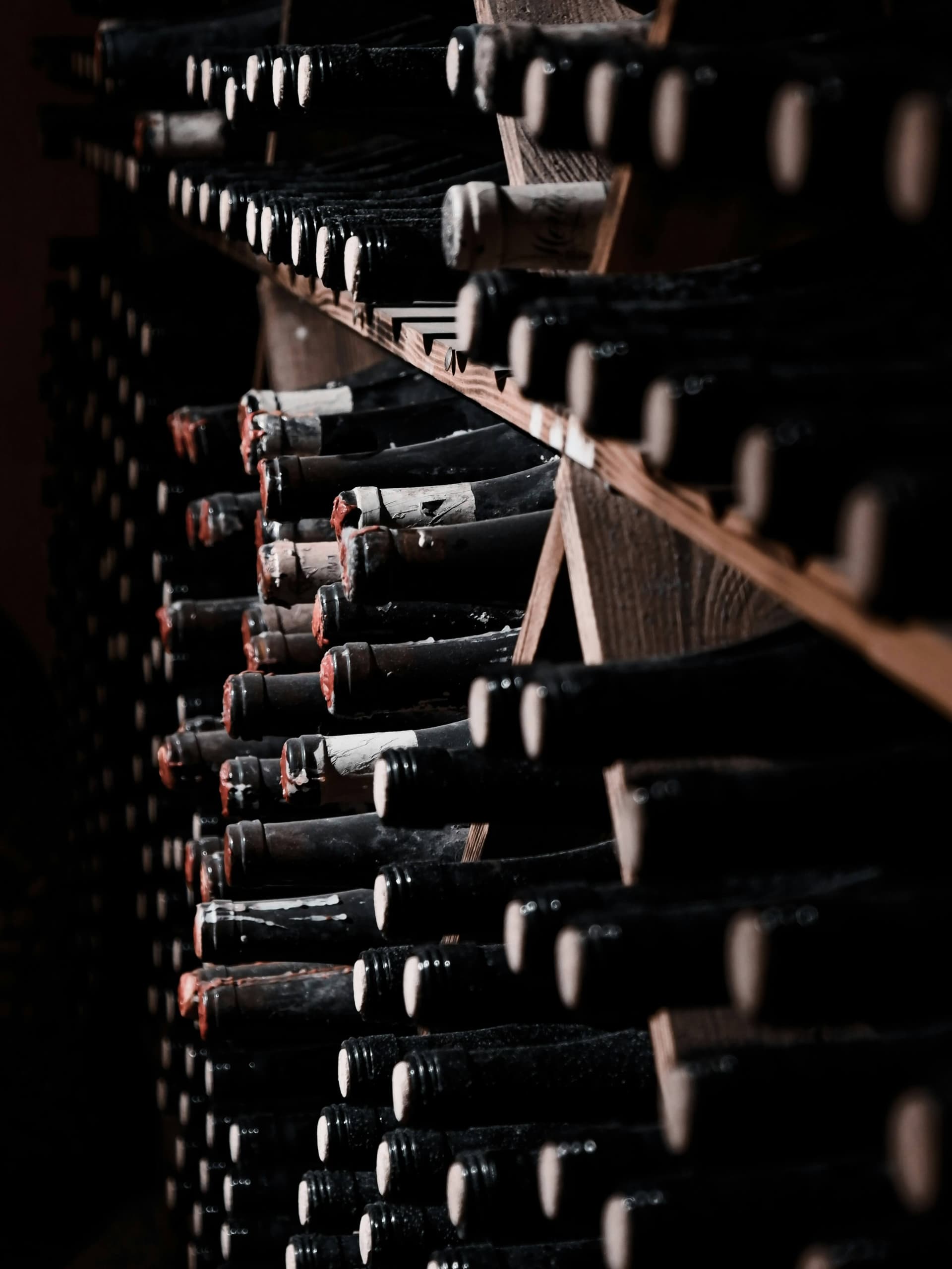 Bottles of Bulgarian wine lined up for a tasting