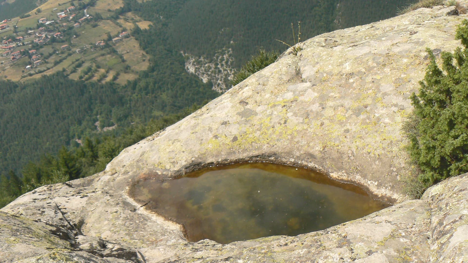 Belintash
