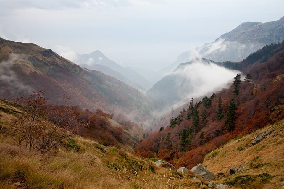 Dzhendema Reserve