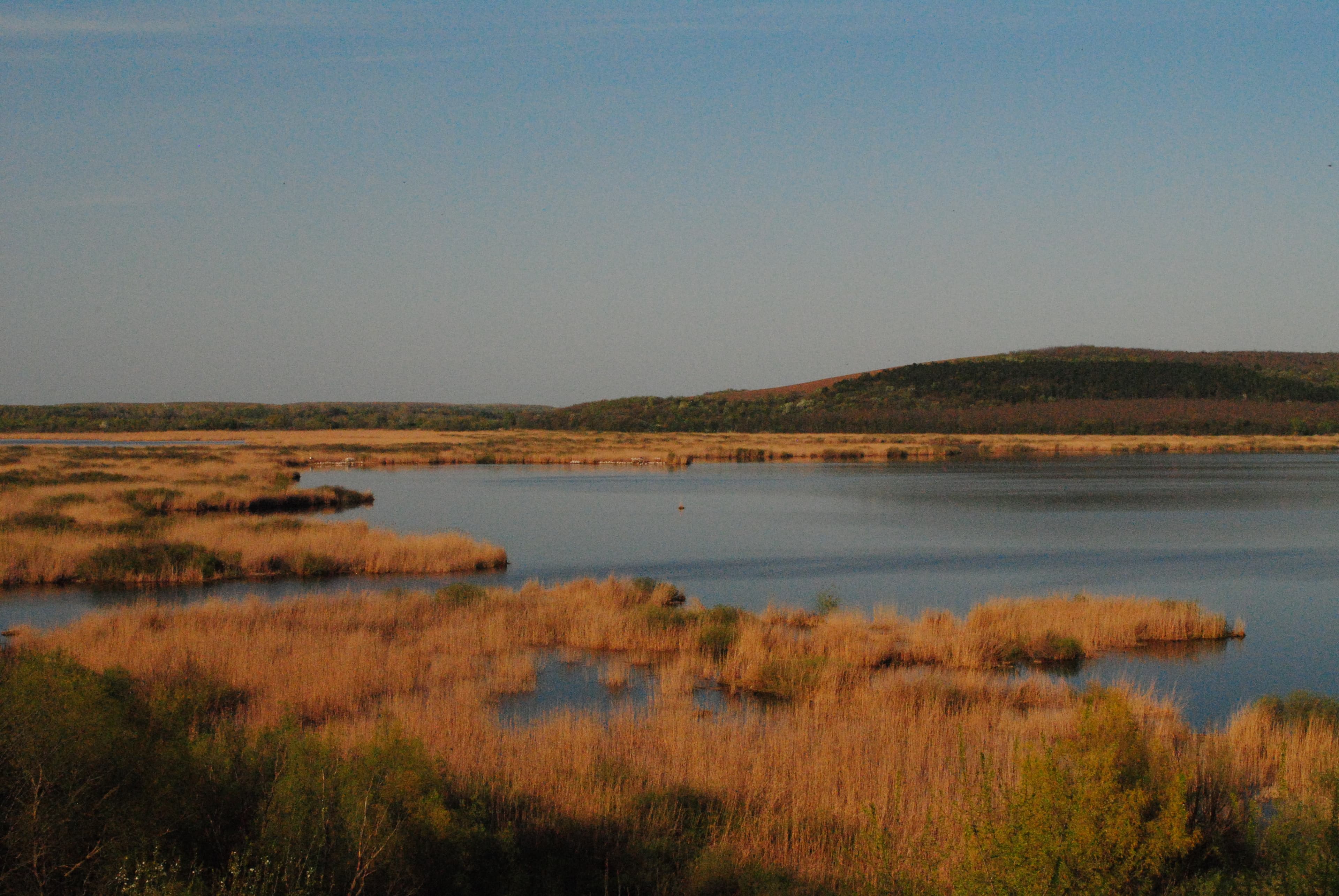 Srebarna Nature Reserve
