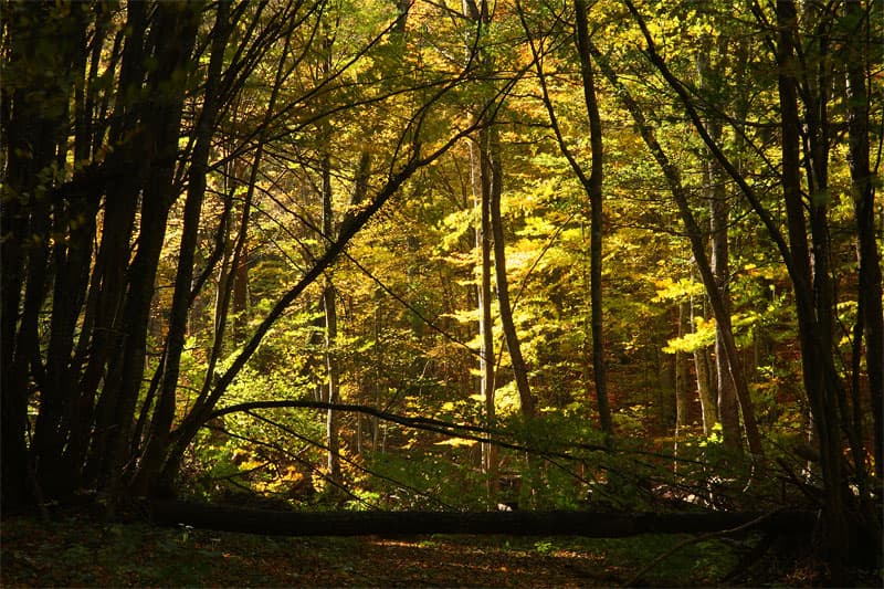 Vitanovo Reserve
