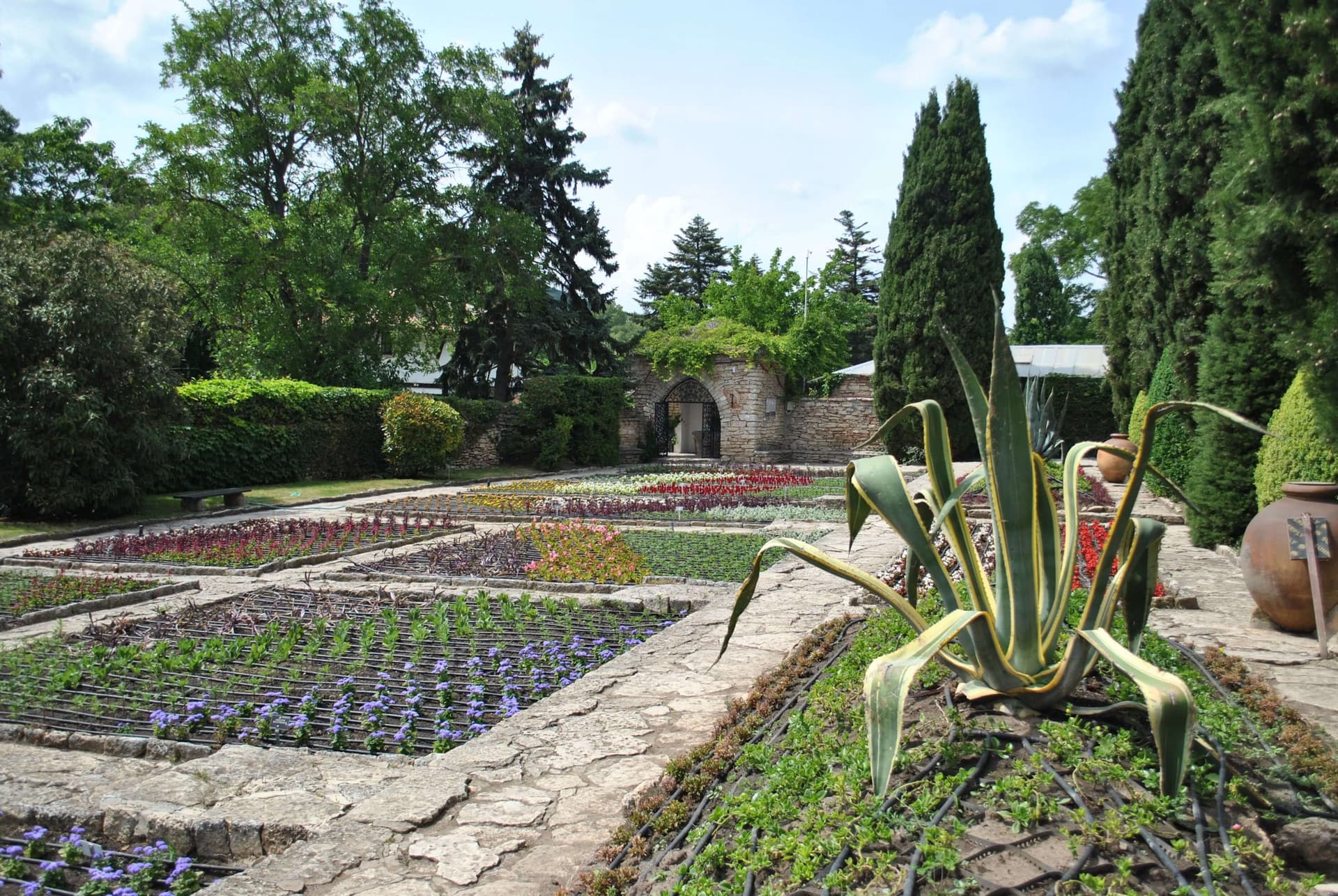 University Botanic Garden in Balchik
