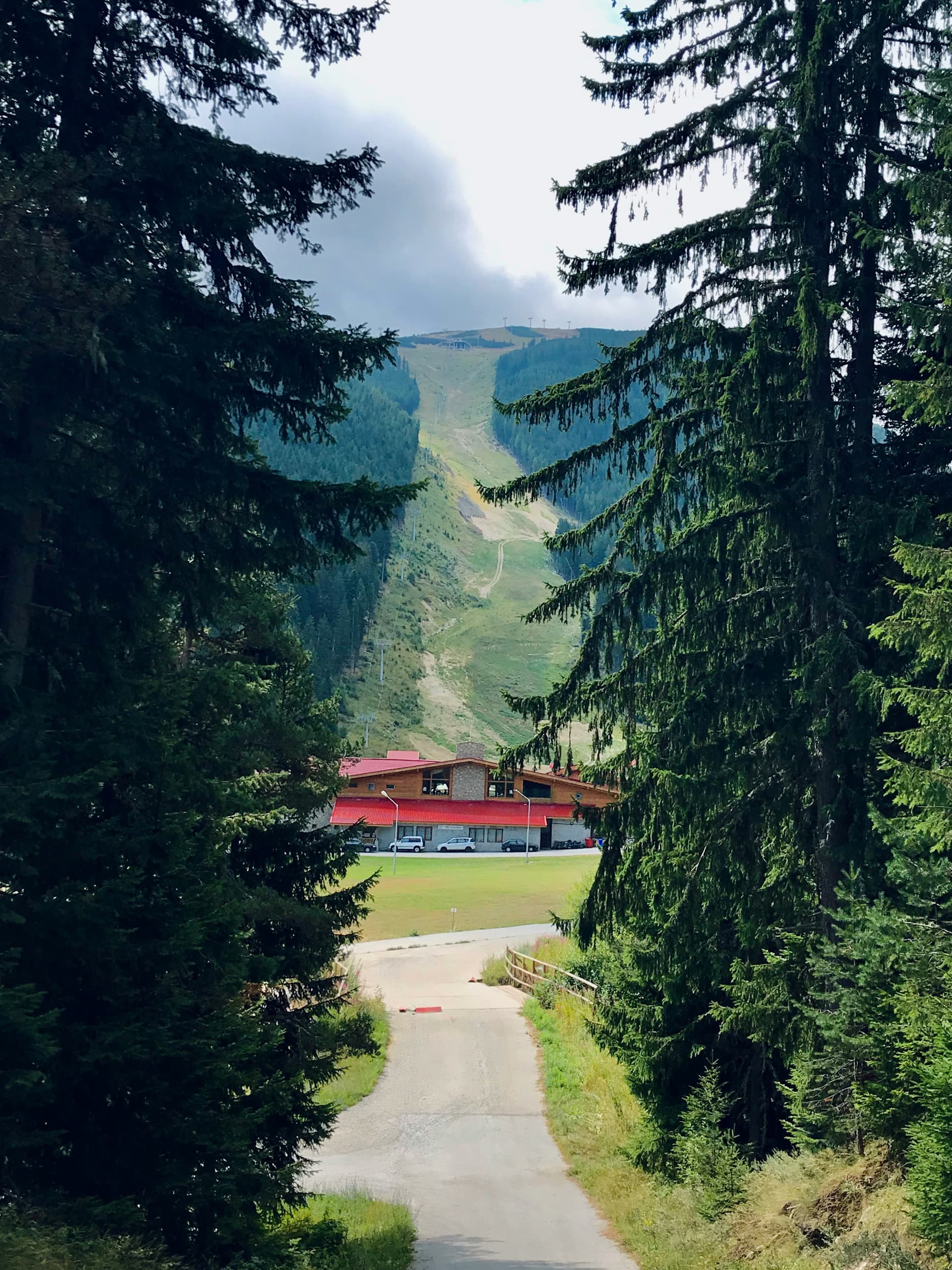 Green summer meadows and hiking trails around Bansko in Pirin