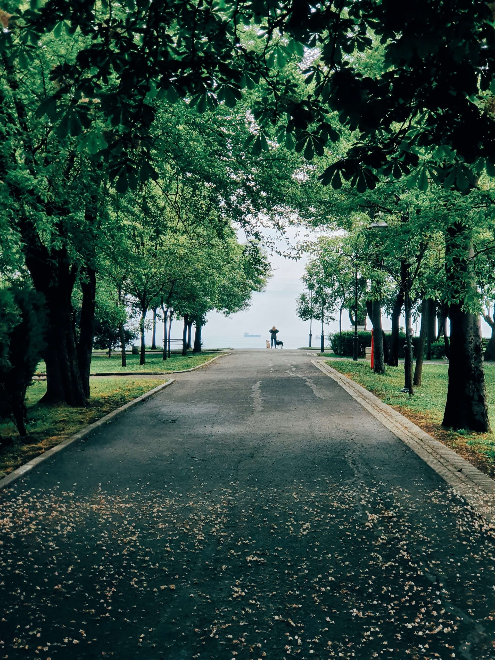 The Sea Garden in Burgas