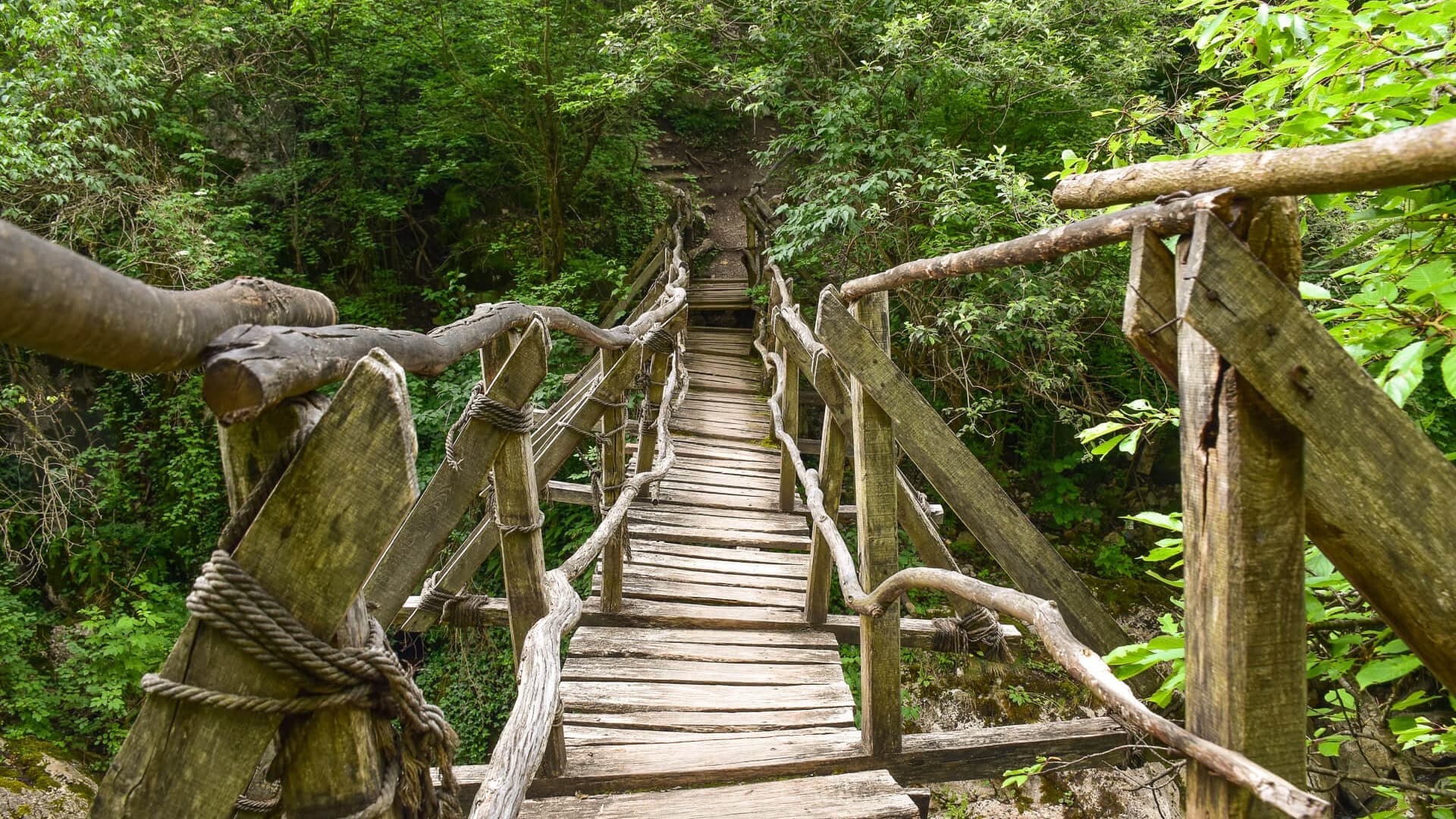 A weathered wooden walkway with rope-lashed branch handrails climbing through the forest on the Tran eco-trail