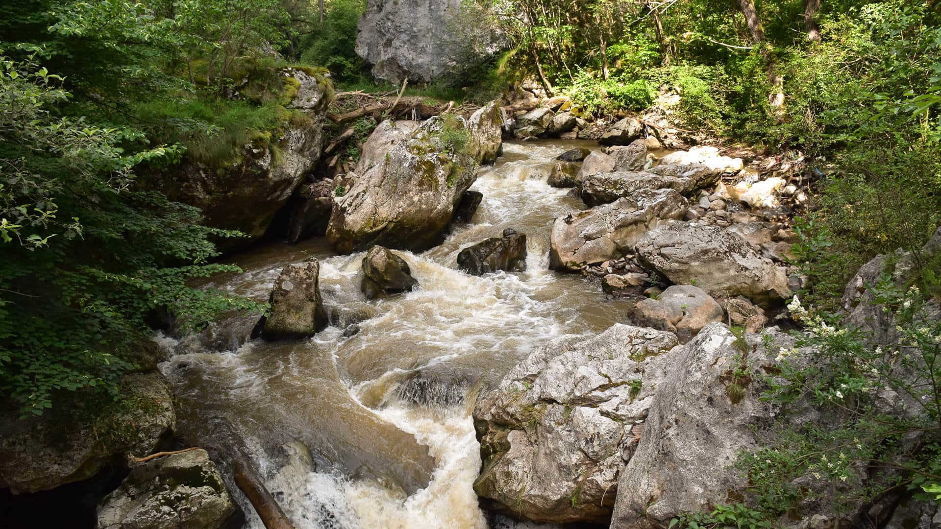 The Erma running high and silty over limestone boulders, forming small chutes and rapids in the gorge