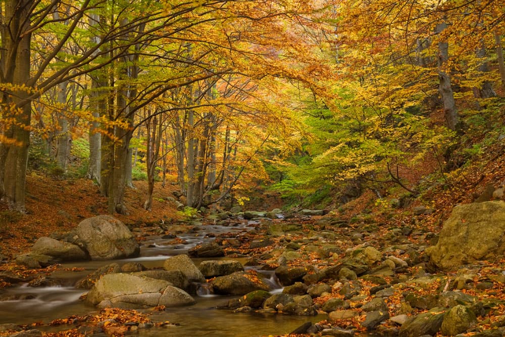 Stara Reka Reserve